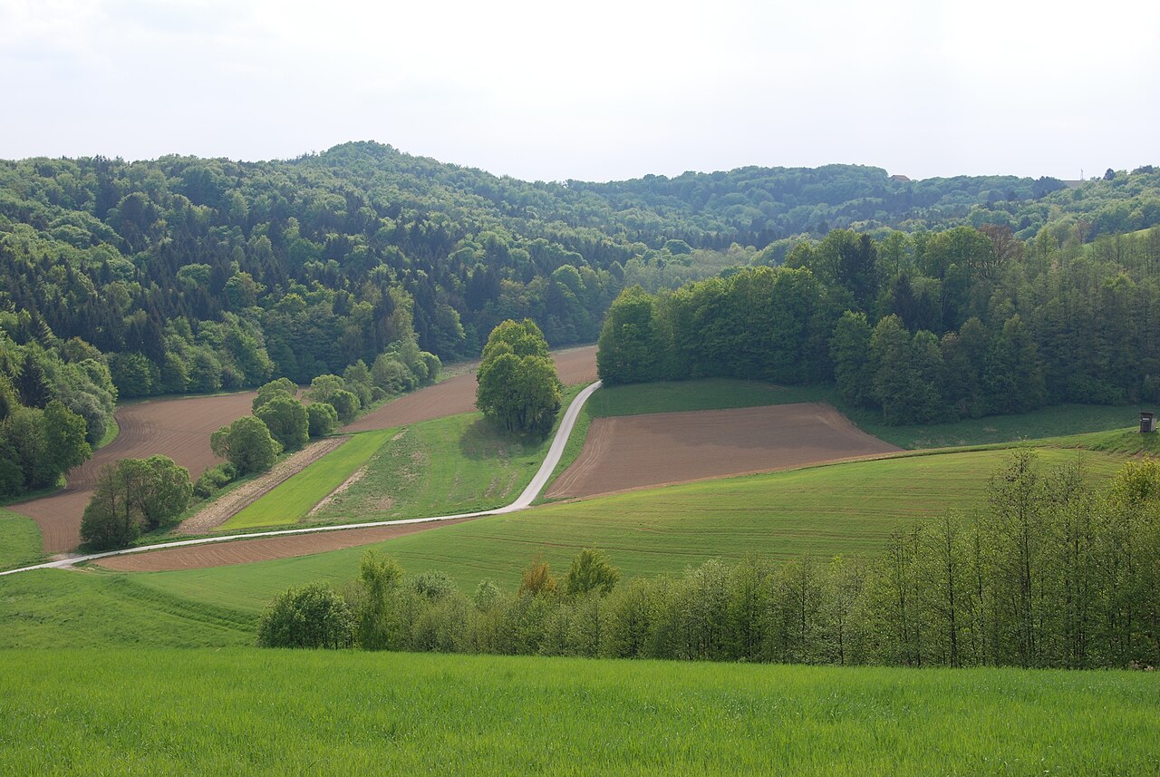Hügellandschaft der Oststeiermark